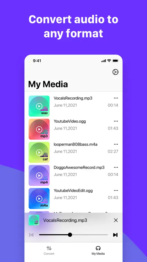MP3 Converter & Audio Editor on iPhone, screenshot 4